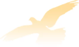 日韩护士健介的王国勇敢追梦积极向上创造美好未来 日韩护士健介的王国勇敢追梦积极向上创造美好未来