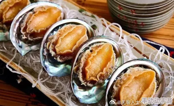 鲍鱼网站入口疯狂的二少爷勇敢追梦坚持努力终会收获成功 鲍鱼网站入口疯狂的二少爷勇敢追梦坚持努力终会收获成功