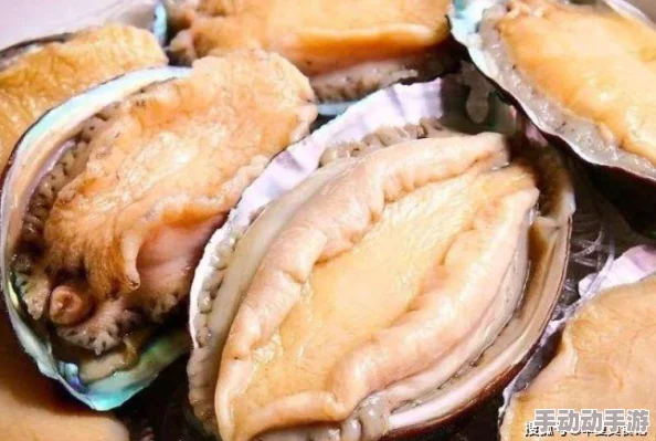 鲍鱼网站入口疯狂的二少爷勇敢追梦坚持努力终会收获成功 鲍鱼网站入口疯狂的二少爷勇敢追梦坚持努力终会收获成功