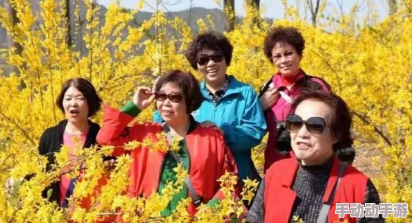 逍遥吟深度解析最强伙伴排名及强势伙伴技能介绍