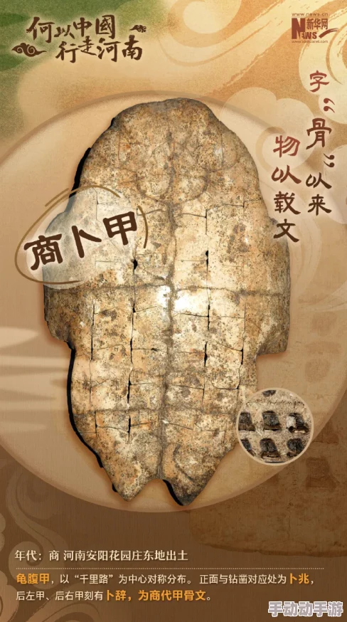 第四片甲骨电视剧全集在线观看探寻殷墟文明密码解读商王朝兴衰之谜