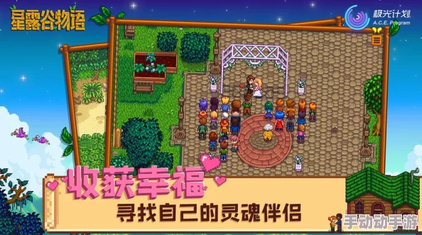 星露谷物语：深度解析红色与蓝色品质物品哪个更优选？