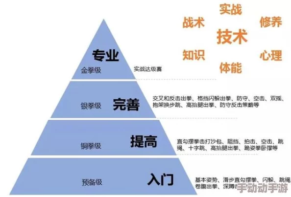 深度解析多维度战斗力提升方法与实战应用详情